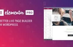 Elementor PRO WordPress Page Builder + Pro Templates 3.24.2