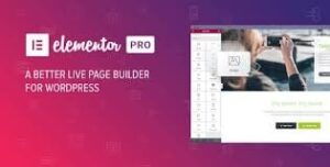 Elementor PRO WordPress Page Builder + Pro Templates 3.24.2