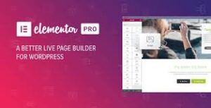 Elementor PRO WordPress Page Builder + Pro Templates 3.24.2