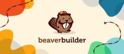 Beaver Builder Professional WordPress Plugin 2.8.4.1