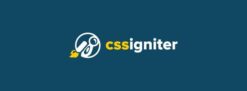 CSS Igniter Andros WordPressTheme 1.1.1