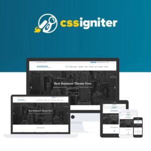 CSS Igniter Business3ree WordPress Theme 1.1.4