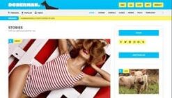 CSS Igniter Doberman WordPress Theme 1.4.2