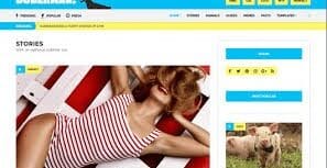 CSS Igniter Doberman WordPress Theme 1.4.2