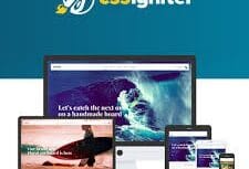 CSS Igniter Flevr Woocommerce Theme 2.3.8