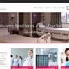 CSS Igniter Medi WordPress Theme