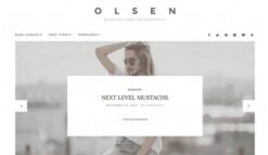 CSS Igniter Olsen WordPress Theme 2.8.4
