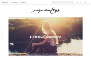 CSS Igniter Paperbag WordPress Theme 1.5.3