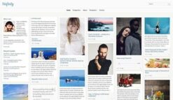 CSS Igniter Pinfinity WordPress Theme 1.1.0