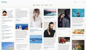 CSS Igniter Pinfinity WordPress Theme 1.1.0
