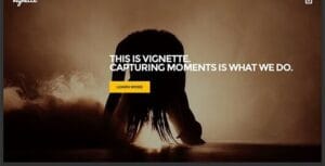 CSS Igniter Vignette WordPress Theme 1.9.3