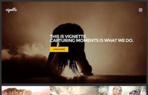 CSS Igniter Vignette WordPress Theme 1.9.3