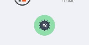 Formidable Forms – API Webhooks 1.17