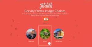 Jetsloth – Gravity Forms Image Choices 1.5.1