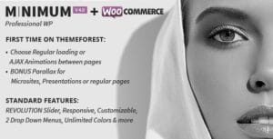 MINIMUM - Professional WordPress Theme 4.1