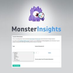 MonsterInsights – Dimensions Addon 2.1.1