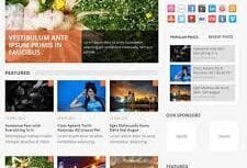 MyThemeShop Daynight WordPress Theme 1.1.2