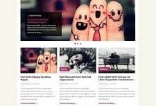 MyThemeShop Fashionblog WordPress Theme 1.1.1