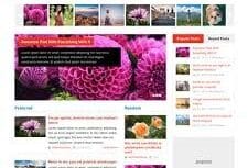 MyThemeShop Frontpage WordPress Theme 1.2.4