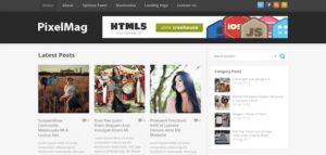 MyThemeShop Pixelmag WordPress Theme 1.1.1