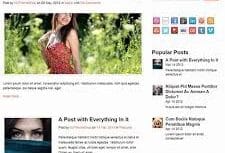 MyThemeShop Pureview WordPress Theme 1.1.2