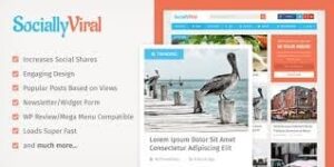 MyThemeShop Viral WordPress Theme 1.1.3