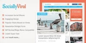 MyThemeShop Viral WordPress Theme 1.1.3