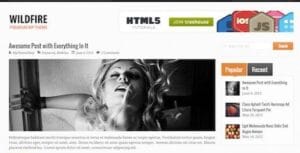 MyThemeShop Wildfire WordPress Theme 1.1.2