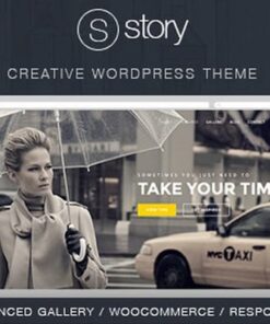 Story – Creative Responsive Multi-Purpose Theme 1.9.14
