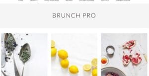 StudioPress Brunch Pro Genesis WordPress Theme 4.2.0