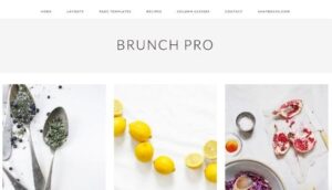 StudioPress Brunch Pro Genesis WordPress Theme 4.2.0