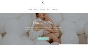 StudioPress Gallery Pro Genesis WordPress Theme 1.2.0