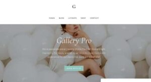 StudioPress Gallery Pro Genesis WordPress Theme 1.2.0