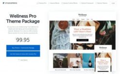 StudioPress Wellness Pro Genesis WordPress Theme 1.1.4
