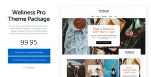 StudioPress Wellness Pro Genesis WordPress Theme 1.1.4