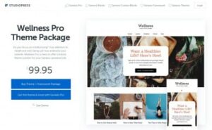 StudioPress Wellness Pro Genesis WordPress Theme 1.1.4