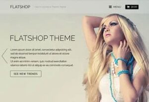 Themify Flatshop WooCommerce Theme 7.1.3
