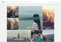 Themify Peak WordPress Theme 7.1.6