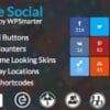 Ultimate Social – Easy Social Share Buttons and Fan Counters for WordPress