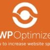 WP Optimize Premium