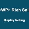 WP Rich Snippets Display Rating 1.1.0