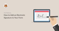 WPForms – Signatures 1.11.0