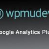 WPMU DEV Google Analytics Plus