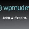WPMU DEV Jobs and Experts