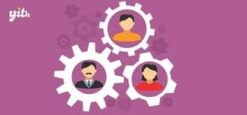 YITH Automatic Role Changer for WooCommerce Premium 2.2.0