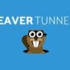 Beaver Tunnels Addon 2.1.6