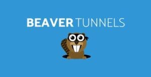 Beaver Tunnels Addon 2.1.6