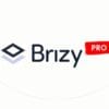 Brizy Pro