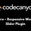 Slider Pro – Responsive WordPress Slider Plugin