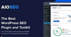 AIOSEO IndexNow 1.0.11